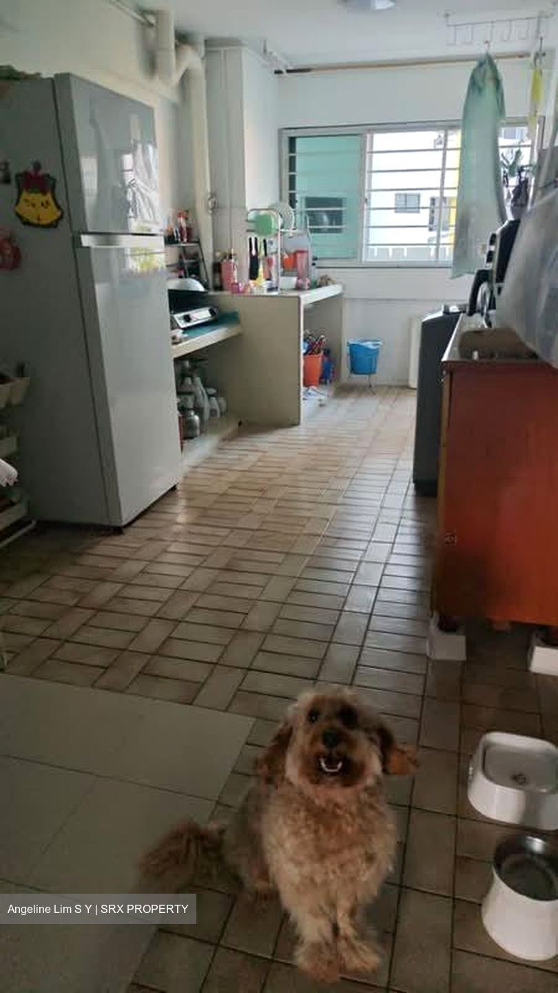 Blk 433 Tampines Street 43 (Tampines), HDB 4 Rooms #543585981
